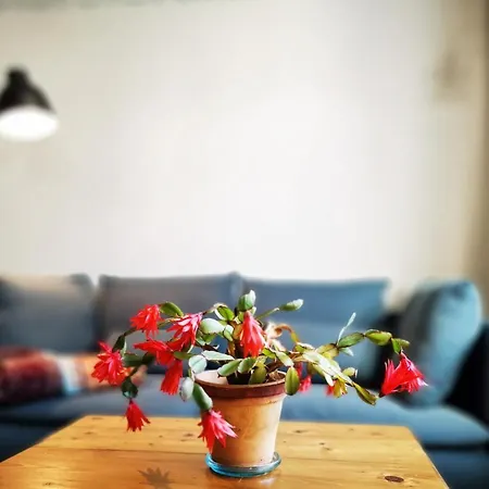 Apartment Charmantes Siebenschläfer über Café 7 *