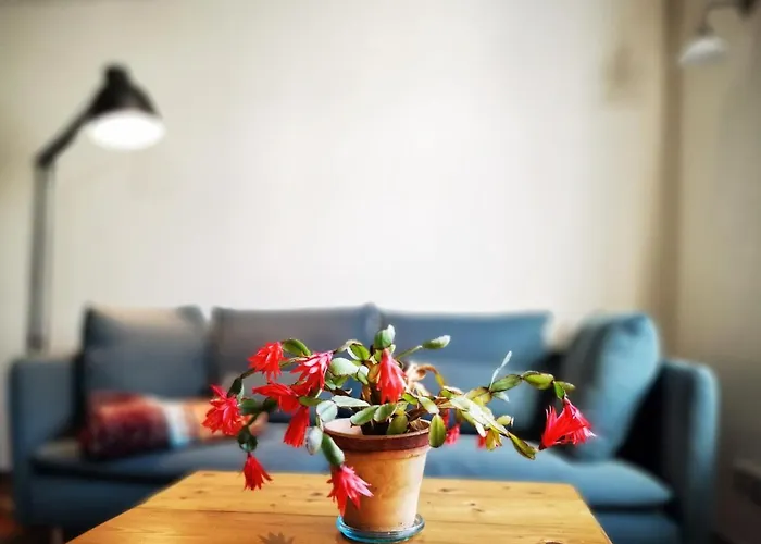 Appartement Charmantes Siebenschlaefer - Cafe 7 *