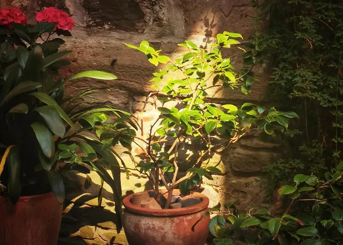 Charmantes Siebenschlaefer - Cafe 7